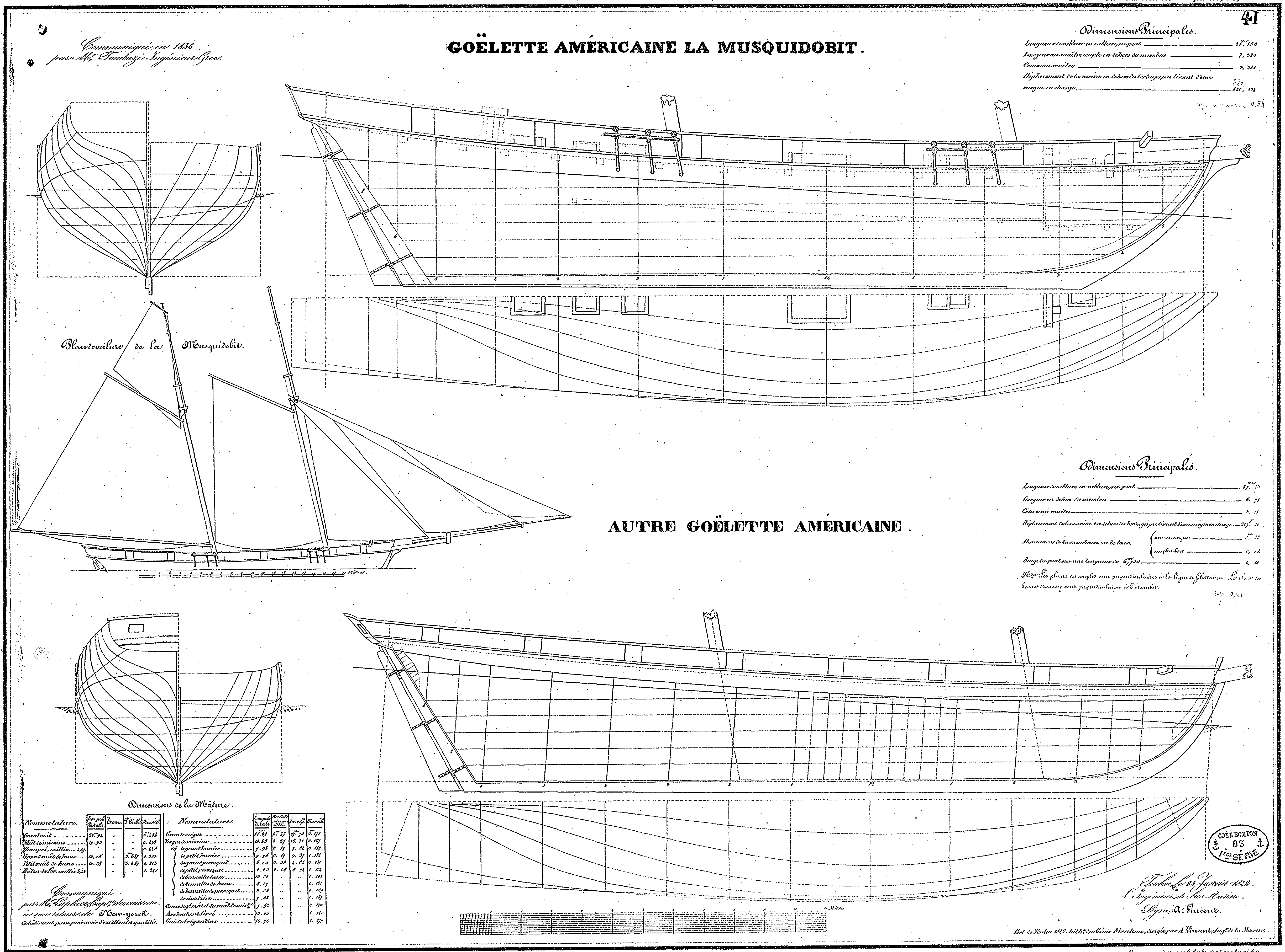 free, ship, plan, drawing schooner, sailing, vessel, musquidobit, lynx, American, French, wooden, ship model, scratch, building, sail, vessel, ship model, model shipbuilding, maritime history